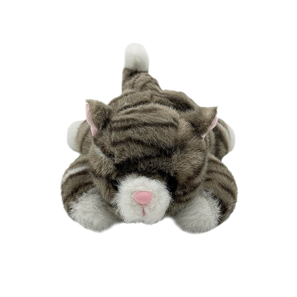 Peluche